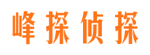 仙桃外遇取证